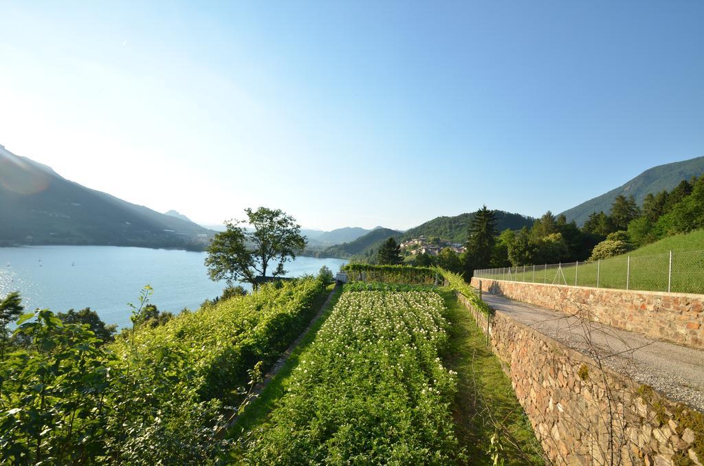 Trentino Appartamenti Oss Tenna Екстериор снимка