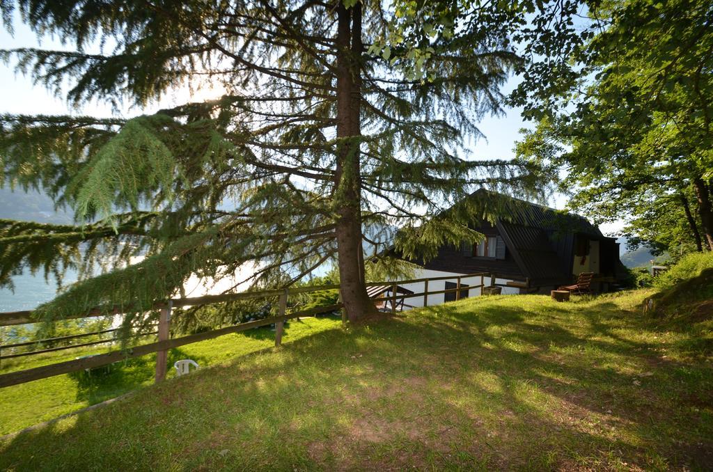 Trentino Appartamenti Oss Tenna Екстериор снимка